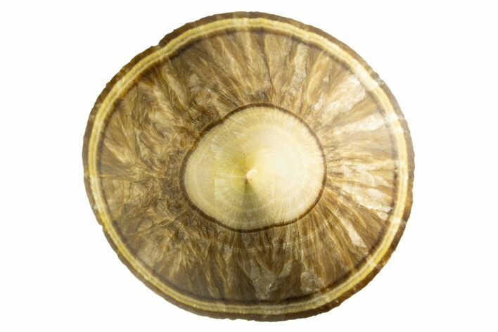 Polished Barite Specimen - Lubin Mine, Poland #335132